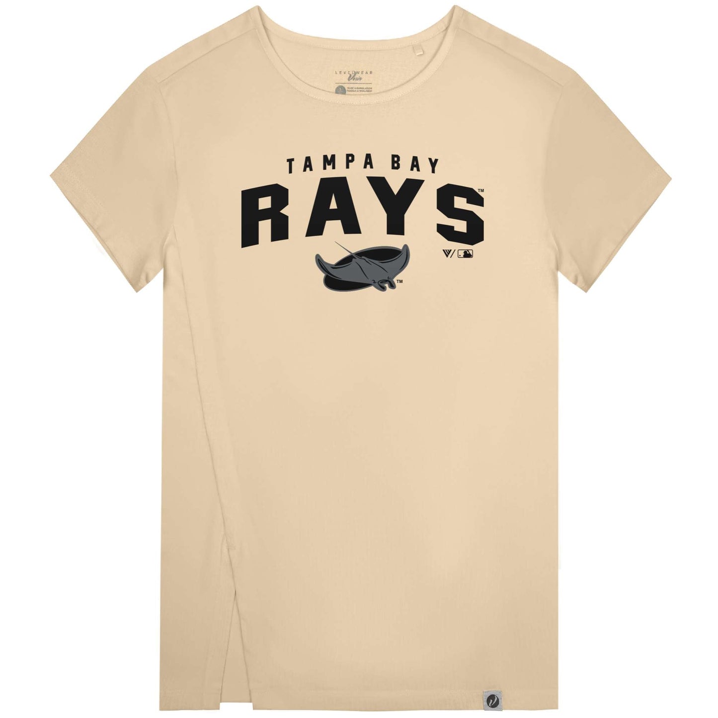 Tampa Bay Rays Influx Team Arch Dn