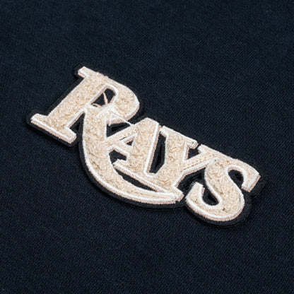 Tampa Bay Rays Gardinia Chenille Logo Dn