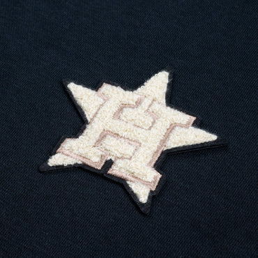 Houston Astros Gardinia Chenille Logo Dn