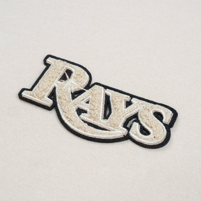 Tampa Bay Rays Contact Chenille Logo Dn