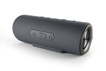 Stage Smart Audio Speaker Grey