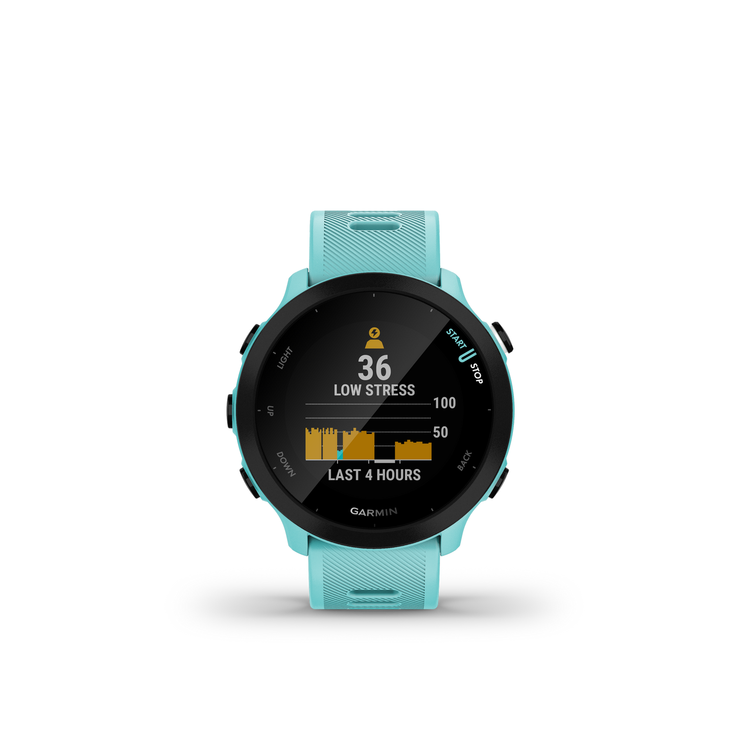 Forerunner® 55, Aqua