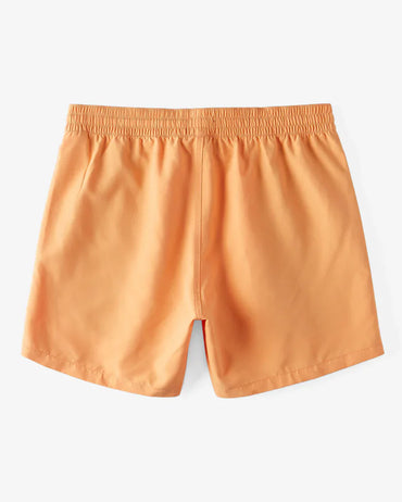 Boy's All Day Elastic Waist 16" Shorts