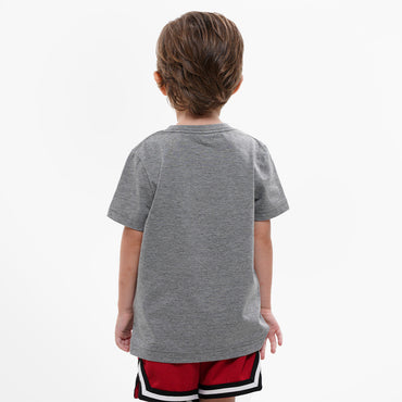 Boy's Toddler Jumpman Air Emblem T-Shirt