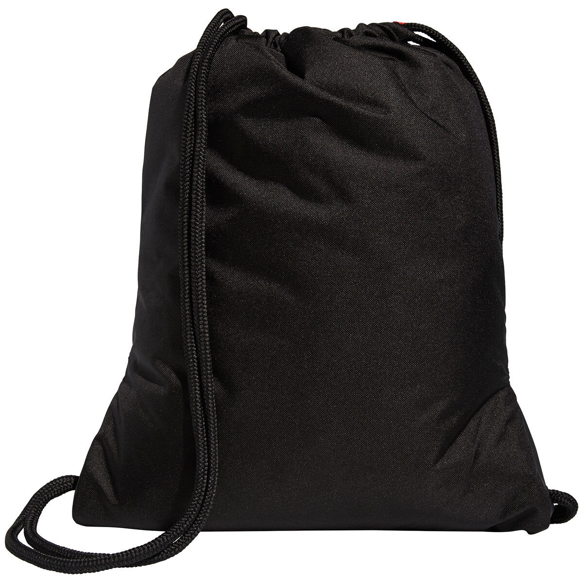 Alliance II Sackpack