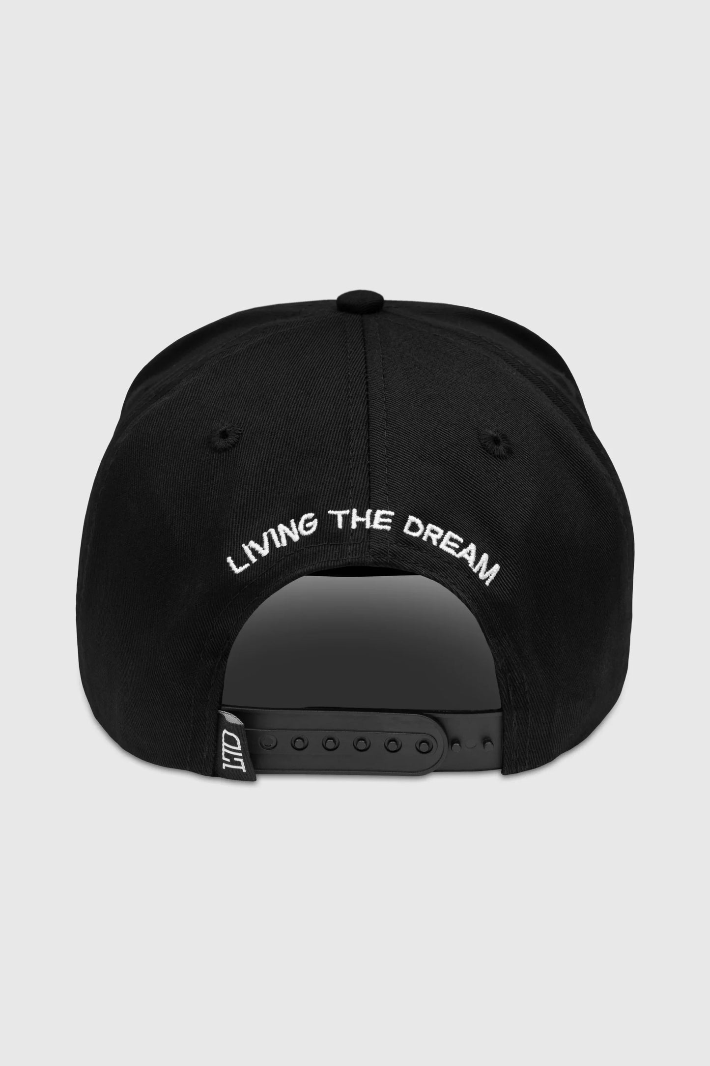 Curved Logo Snapback