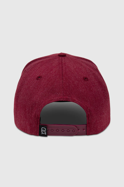 Curved Logo Snapback