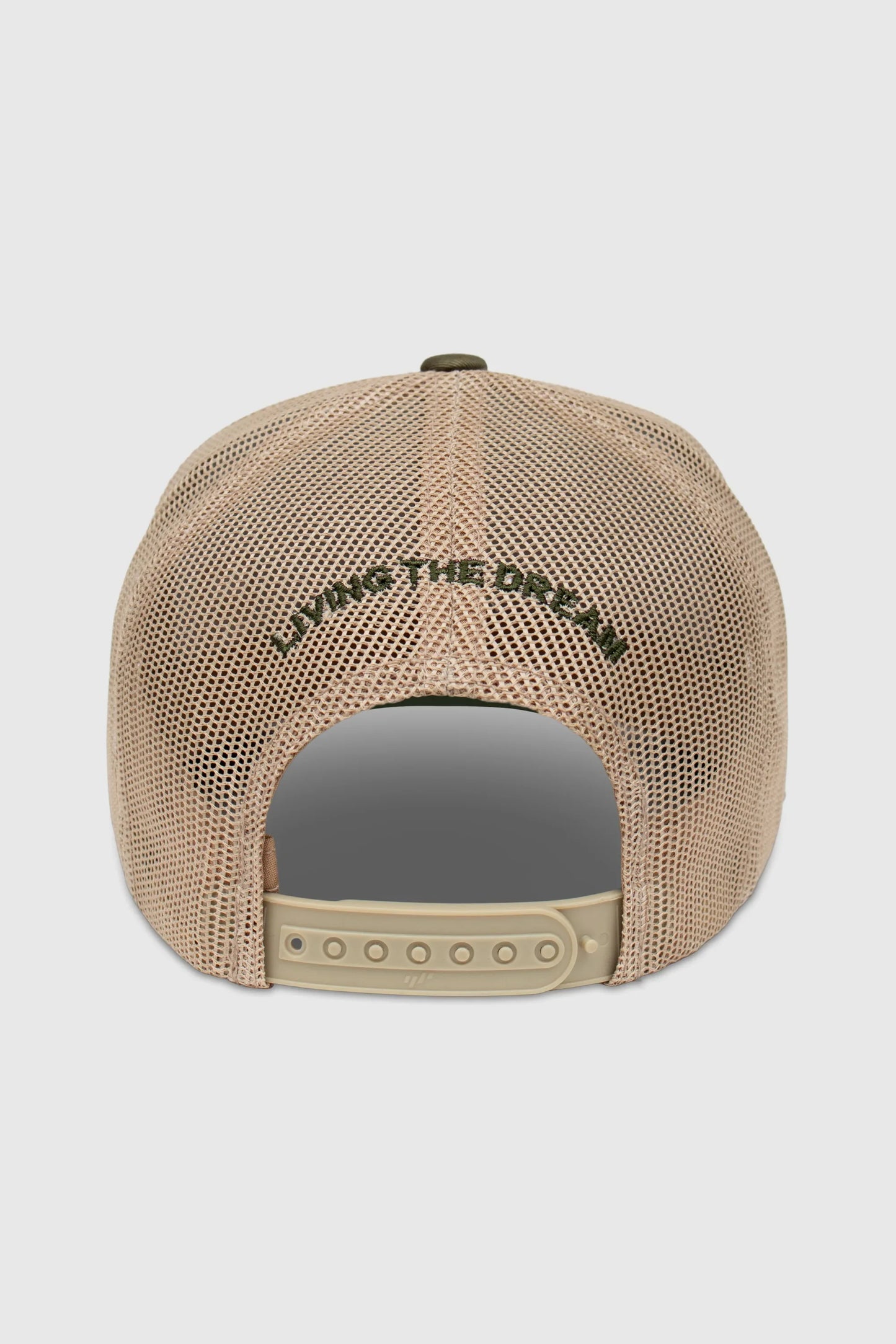 LTD Snapback