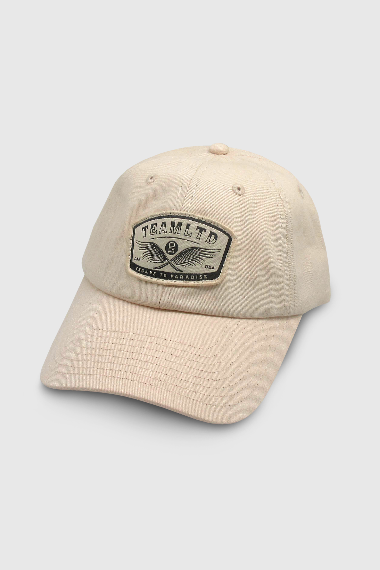 Wings Dad Hat