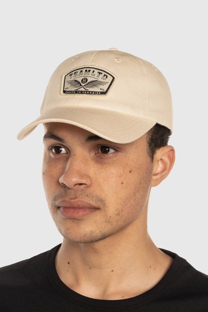 Wings Dad Hat