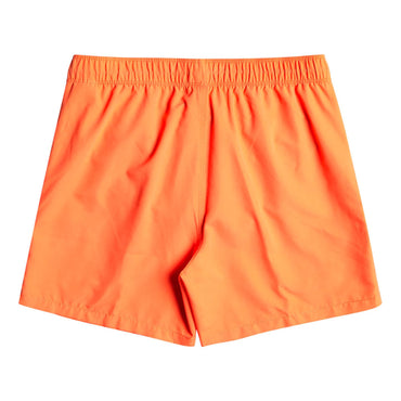 Men's All Day Layback Boardshorts